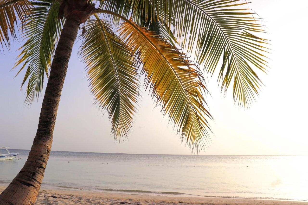 Hotel Posada Seremein ,West Bay ,Roatan ภายนอก รูปภาพ