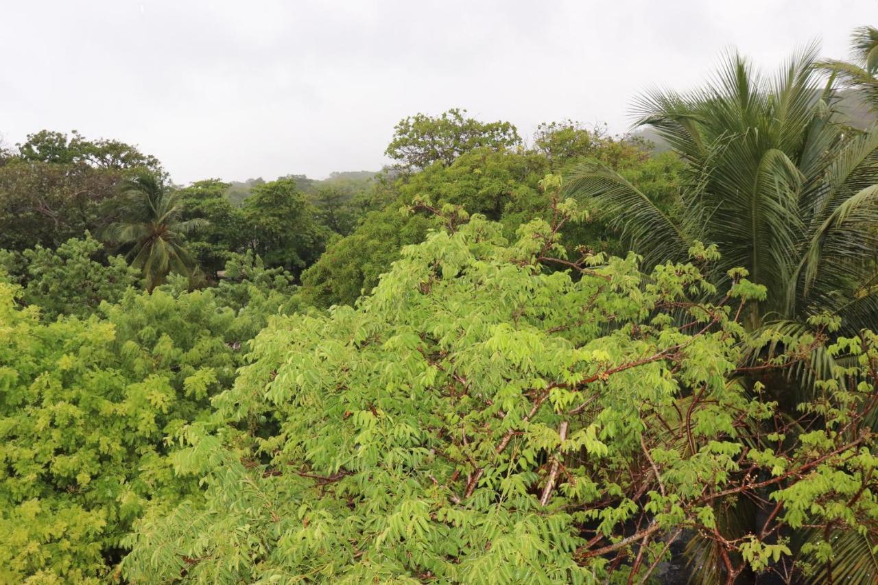 Hotel Posada Seremein ,West Bay ,Roatan ภายนอก รูปภาพ